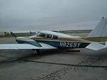8259y.jpg